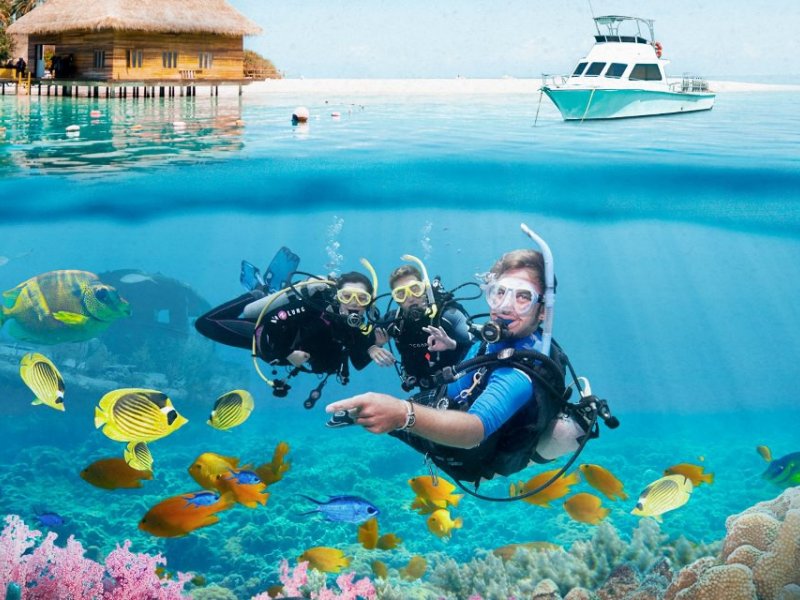 Bodrum Diving Tour